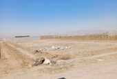 زمین در باغ معروف