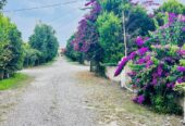 ویلا در محمود آباد